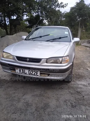 Toyota Corolla 1998 Gray