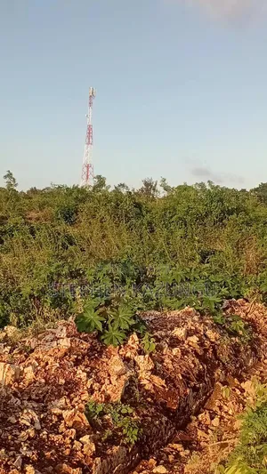 1 Acre Plot on Sale at Galu Beach Only 1.2 KMS From Beach.