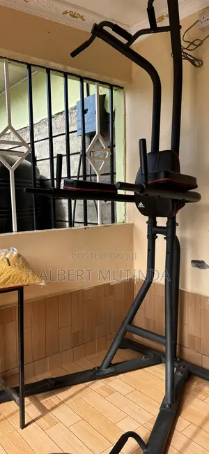 Power Tower Dip/Pull Station