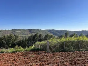 100 By100 Plot Mua Hills