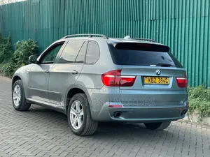 BMW X5 2009 Silver