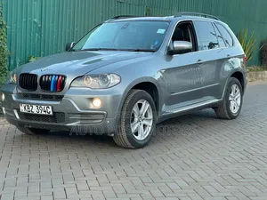 BMW X5 2009 Silver