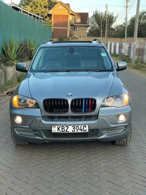 BMW X5 2009 Silver