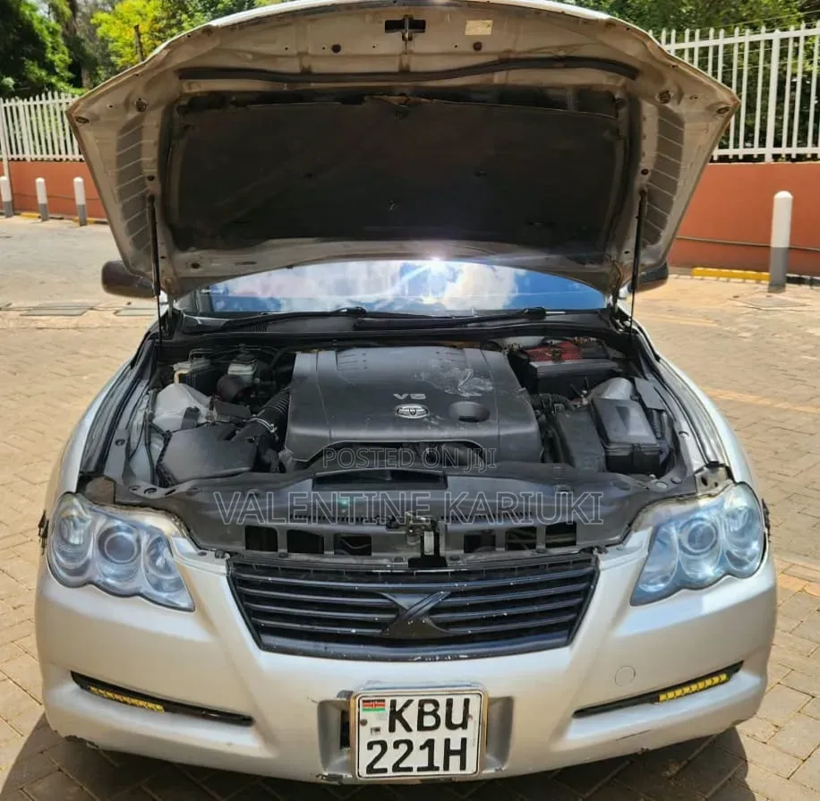Toyota Mark X 2007 Silver