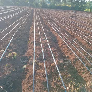 Drip Irrigation