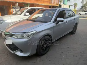 Toyota Axio 2016 Gray