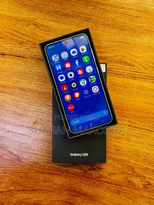 Samsung Galaxy S25 512 GB Silver