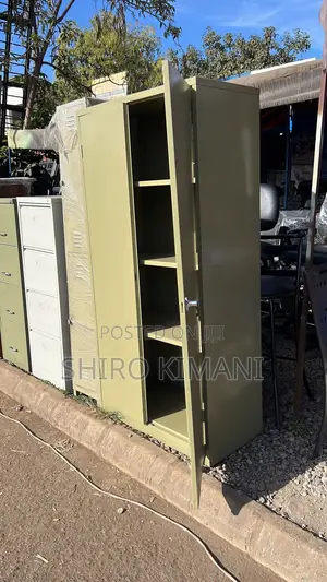 2Door Cabinet Unique