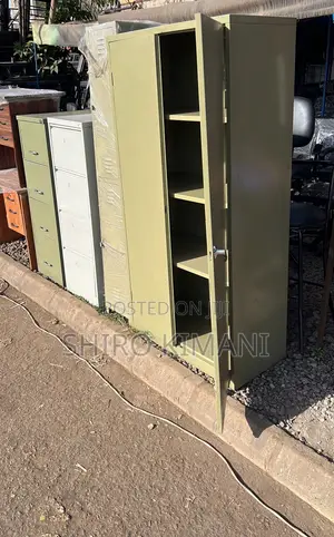 2Door Cabinet Unique