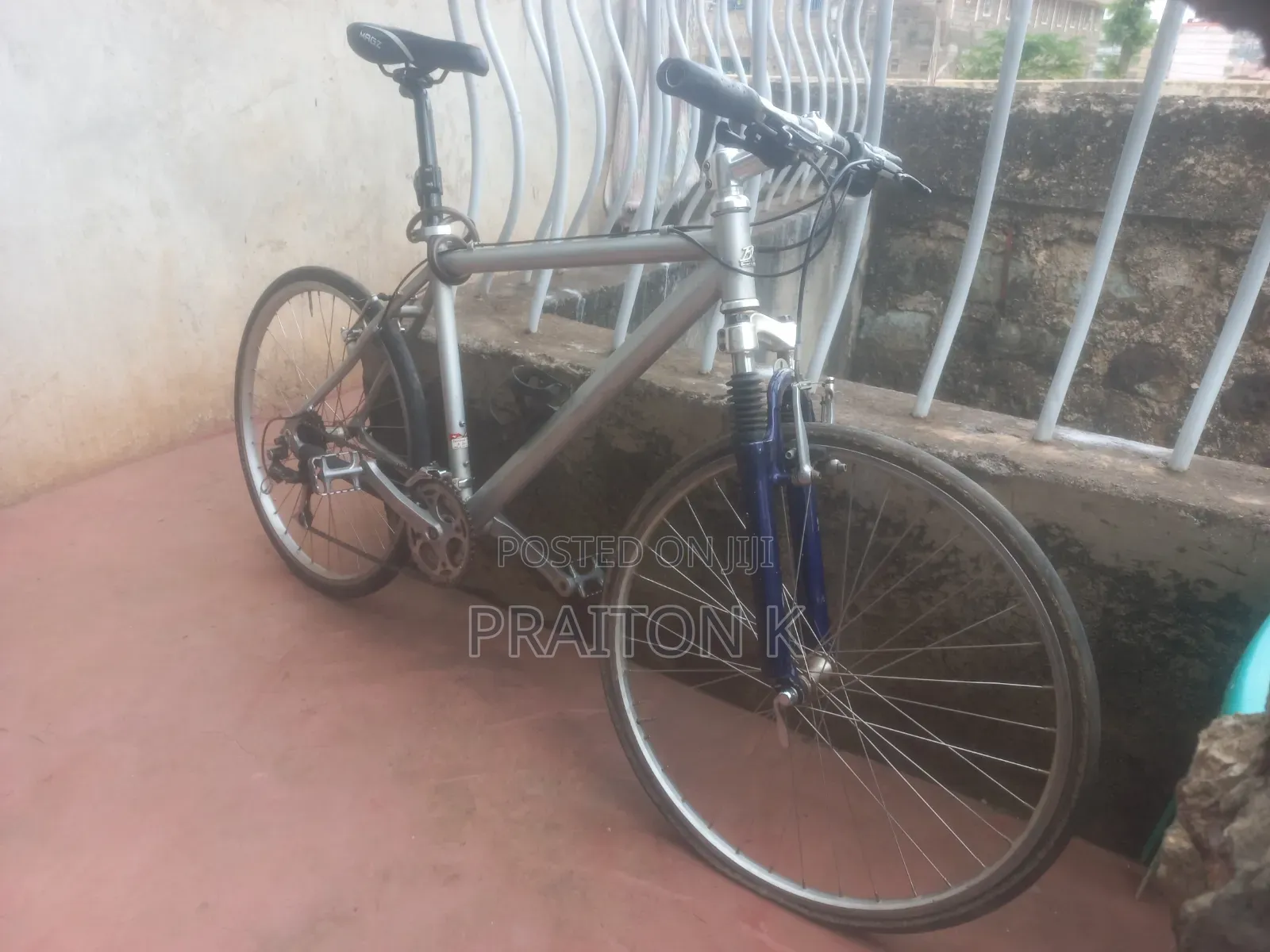 Hybrid Bike
