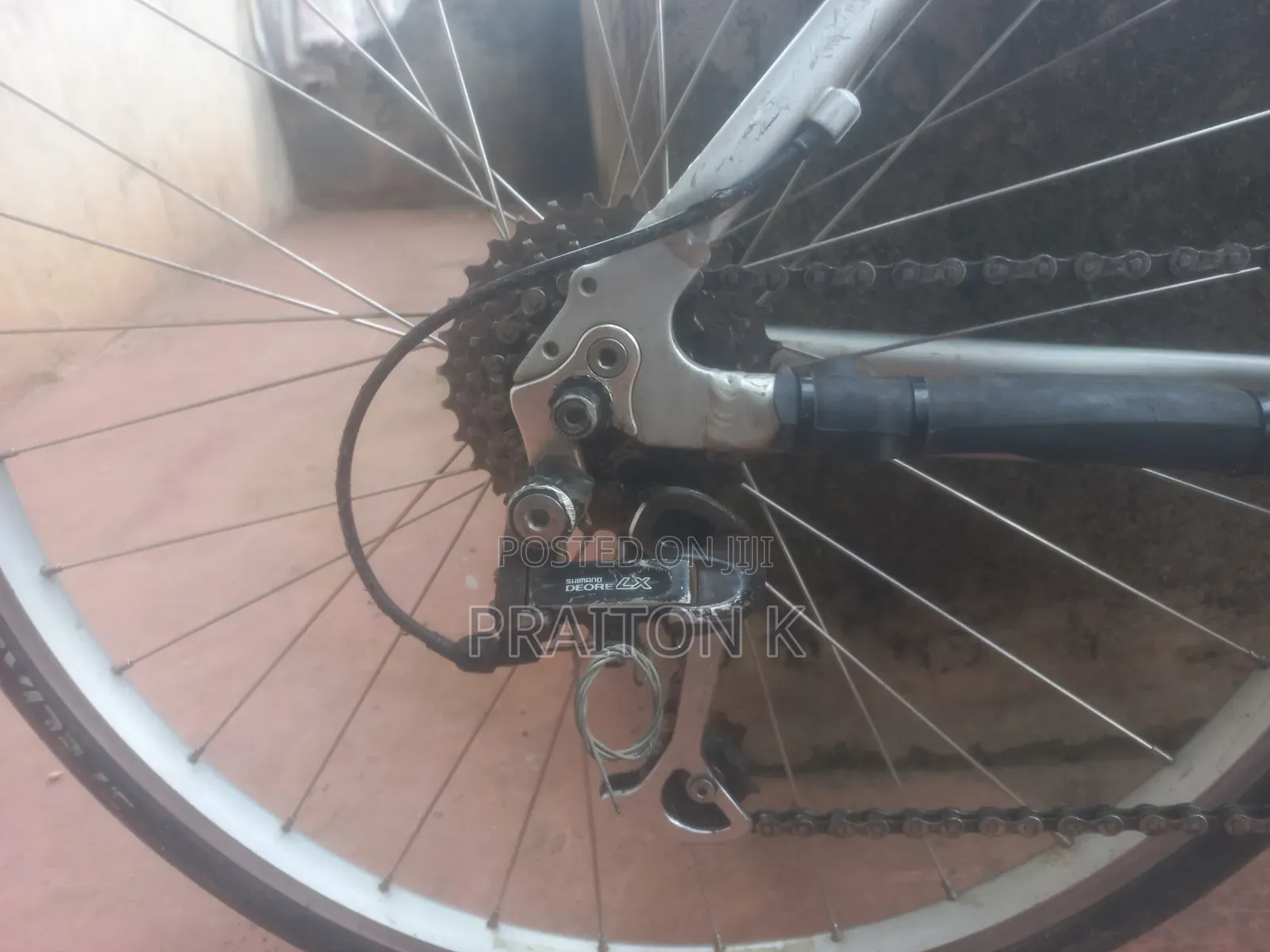 Hybrid Bike