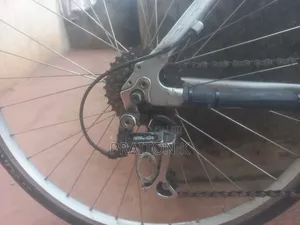 Hybrid Bike