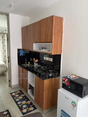 Airbnb, 1 Bedroom Apartment at Roysambu