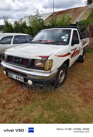 Nissan Hardbody 2004 White