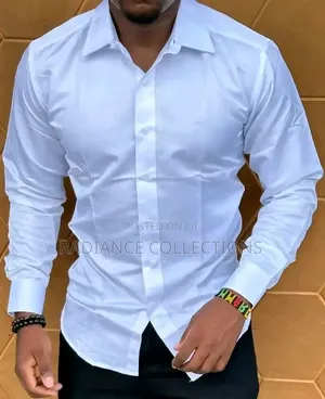Plain Men Casual/Official Shirts