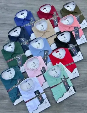 Plain Men Casual/Official Shirts