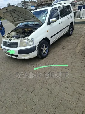 Toyota Succeed 2011 Pearl