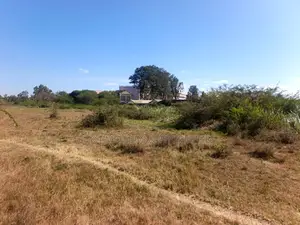 LAND for Sale in Kenol Town Touching Kenol -Nyeri Busy Dual Carriagewa