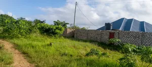 Plot for Sale 50 by 100 at Bububu Mtongwe