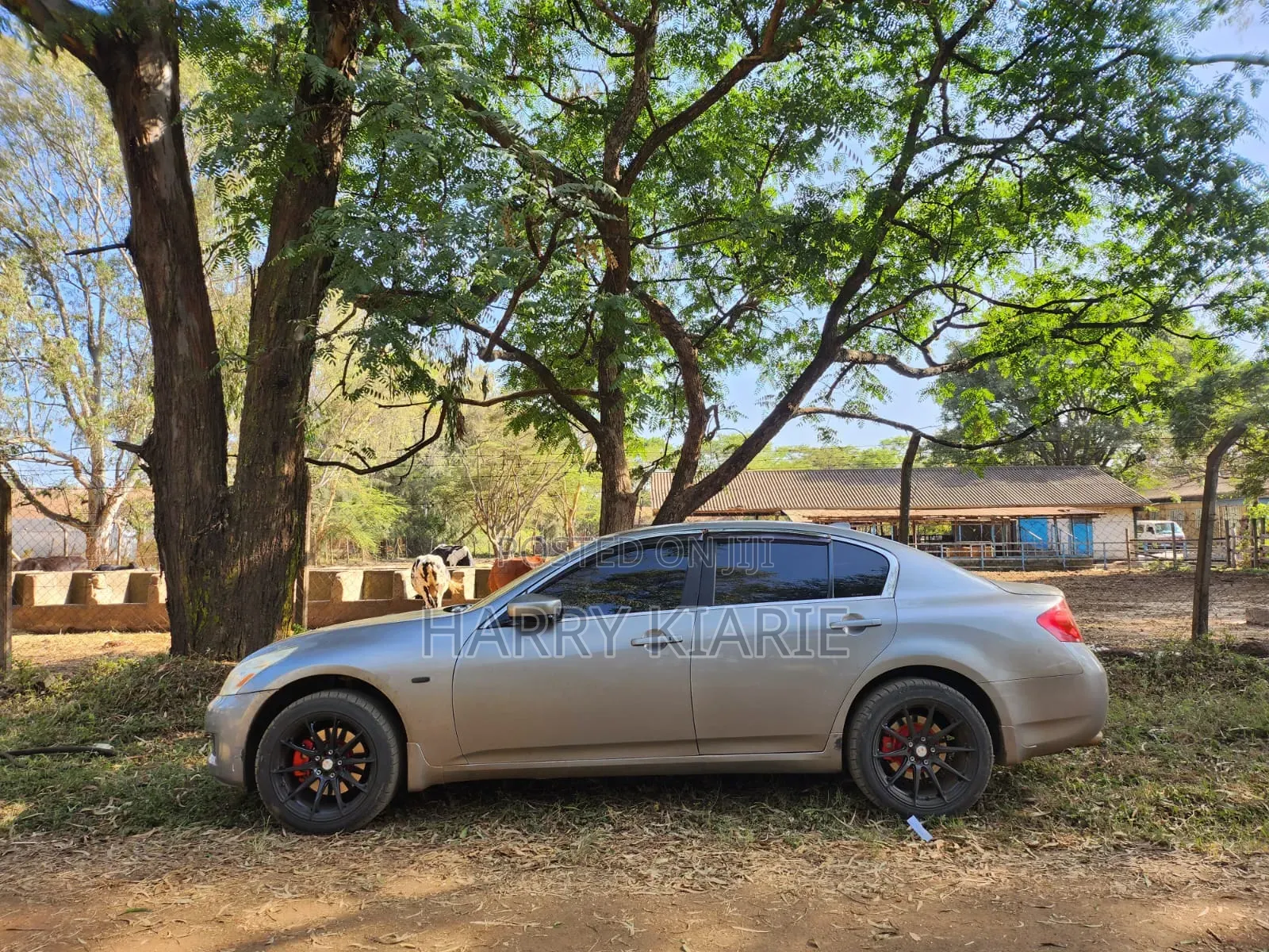 Nissan Skyline 2009 Gray