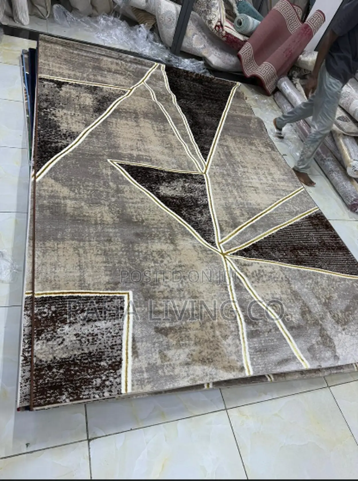 Modern Luxury Carpet | 8x11 | Large Turkish Design