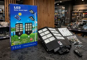 Integrated All-in-One Budget Solar Street Light