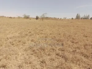 1/8 Plot at KAG