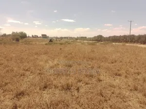 1/8 Plot at KAG