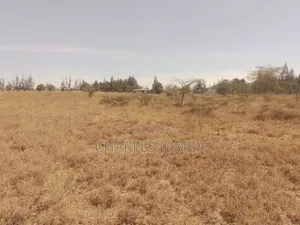 1/8 Plot at KAG