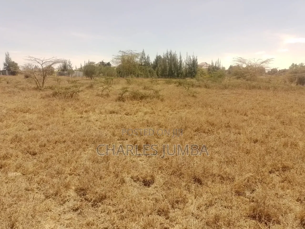 1/8 Plot at KAG
