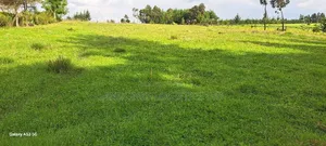 5 Acres Karen Miotoni Both Commercial / Residential