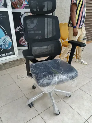 Anatomical Chair