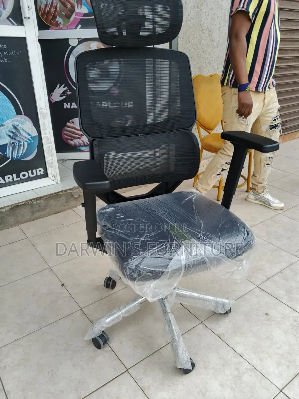 Anatomical Chair