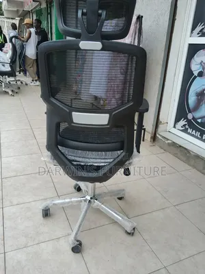 Anatomical Chair