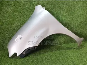 Fender/Wing Lh Toyota Sienta Ncp81g 2009
