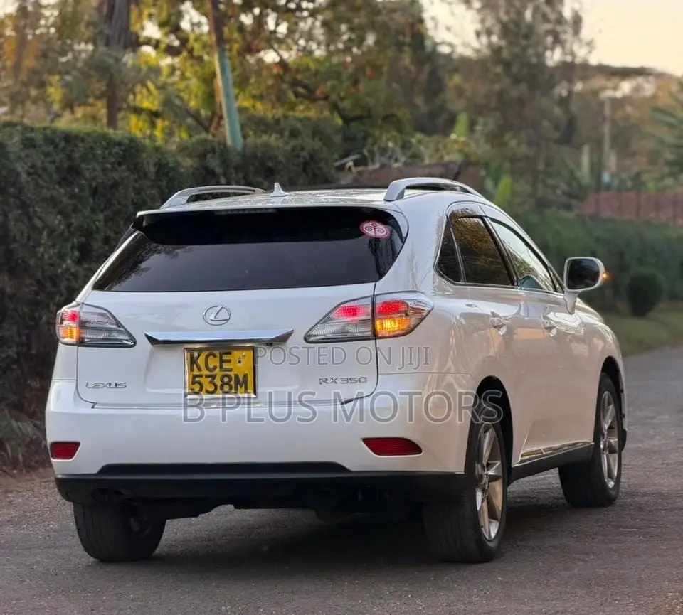 Lexus RX 2010 White