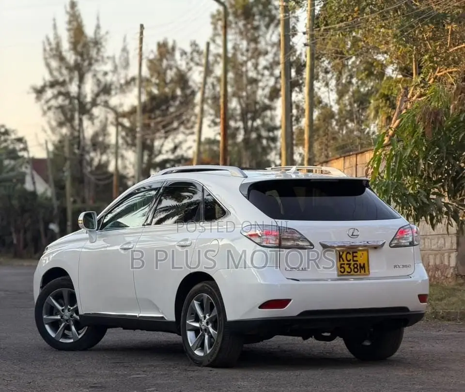 Lexus RX 2010 White