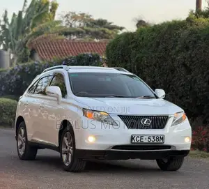 Lexus RX 2010 White