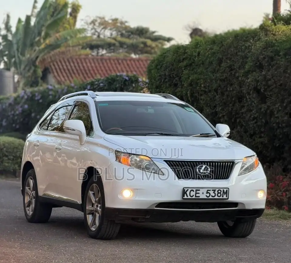 Lexus RX 2010 White