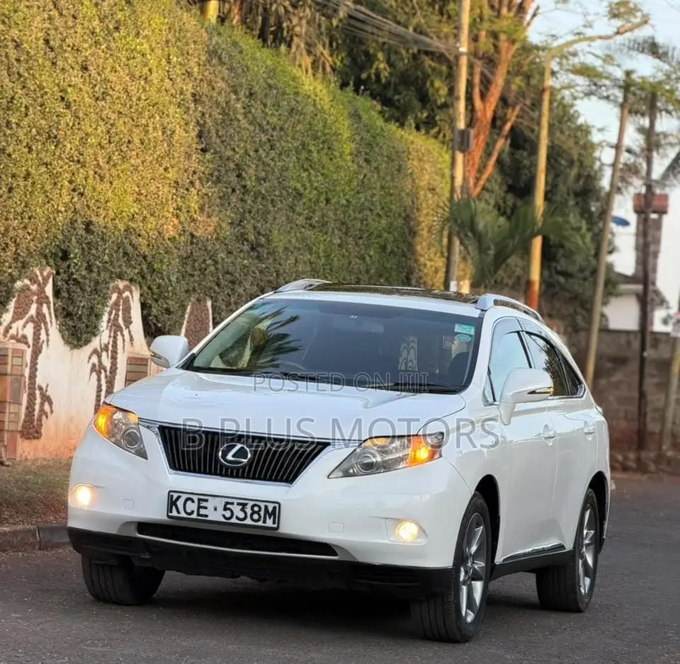 Lexus RX 2010 White