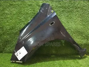 Fender/Wing Lh Nissan Note E11 2009