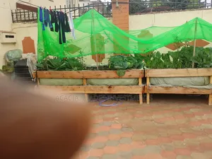 Kitchen Garden
