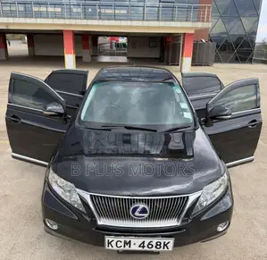 Lexus RX 2010 Black