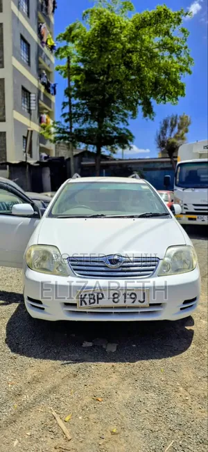 Toyota Corolla Fielder 2003 White
