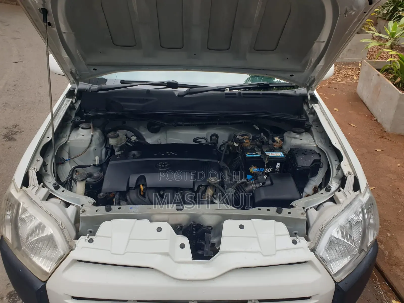 Toyota Probox 2016 White