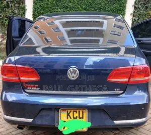 Volkswagen Passat 2013 Blue