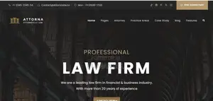 Professional Business Website