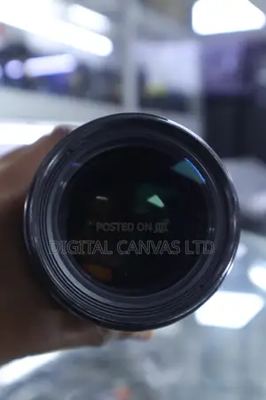 Canon 70-200Mm F/4 Lens