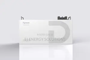 Dyness Battery 2.56