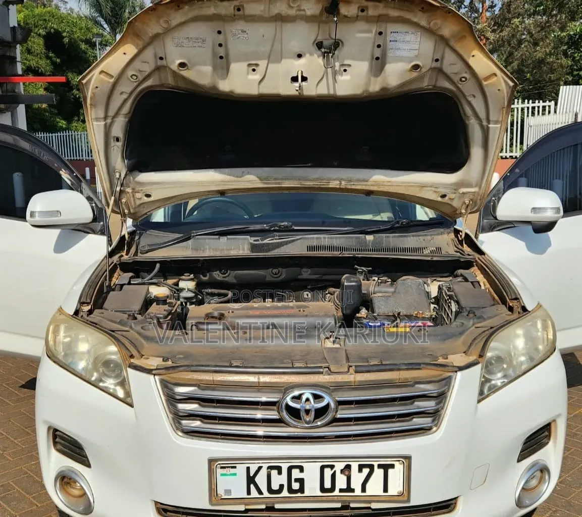 Toyota Vanguard 2009 Pearl